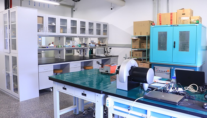 lab